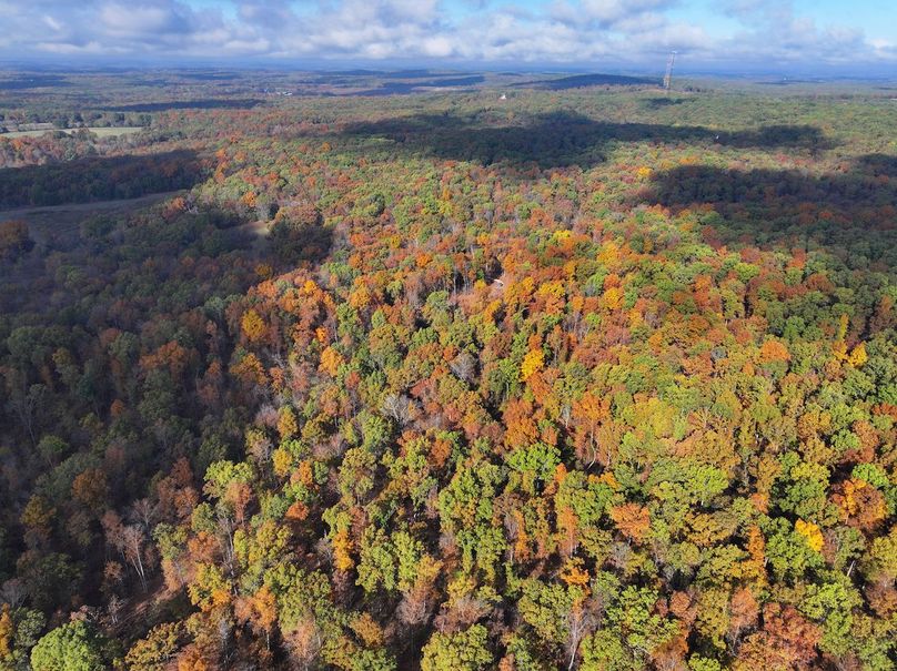 DJI_20251102094253_0815_D