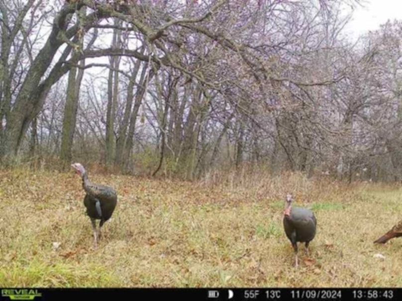 Messenger_creation_33C2F717-EC33-46C1-810B-3715EED0B78F