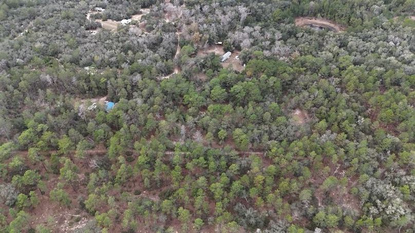 dji_fly_20251230_114624_0038_1767112928516_photo