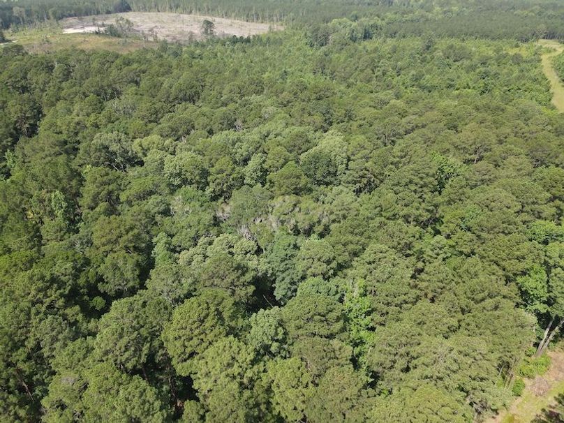 DJI_0342