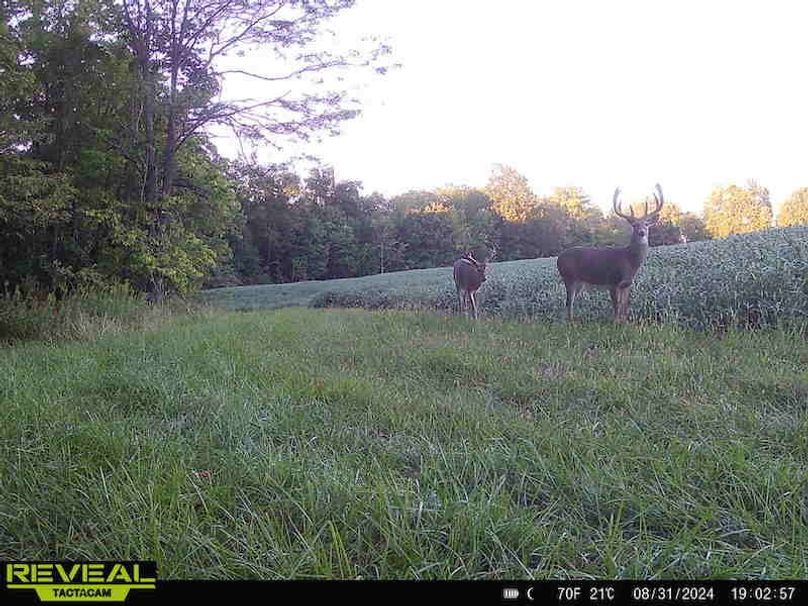 864049050361650-100-2-08312024190256-HD-W1002555