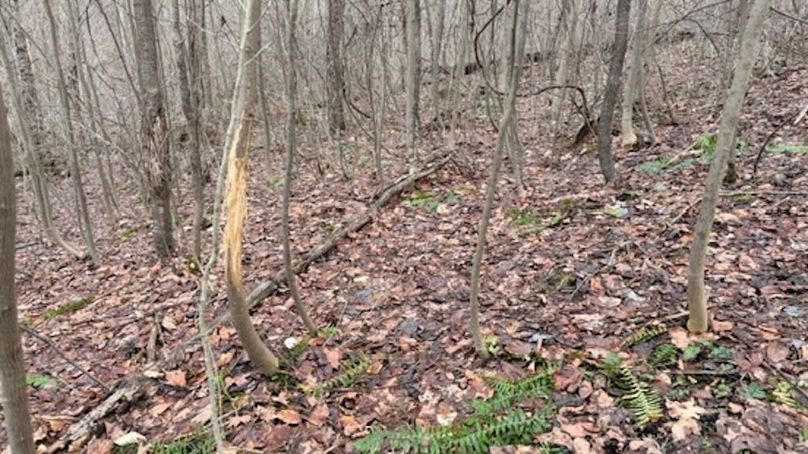 FE1D0138-BE26-451B-B891-231A29F0D0AA_4_5005_c