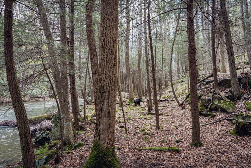 Photo 2023-05-09 07.55.30 AM