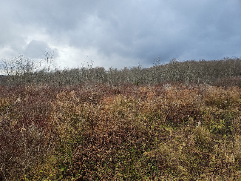 photo_60211c49-7d66-4445-8537-8dadc7896b29