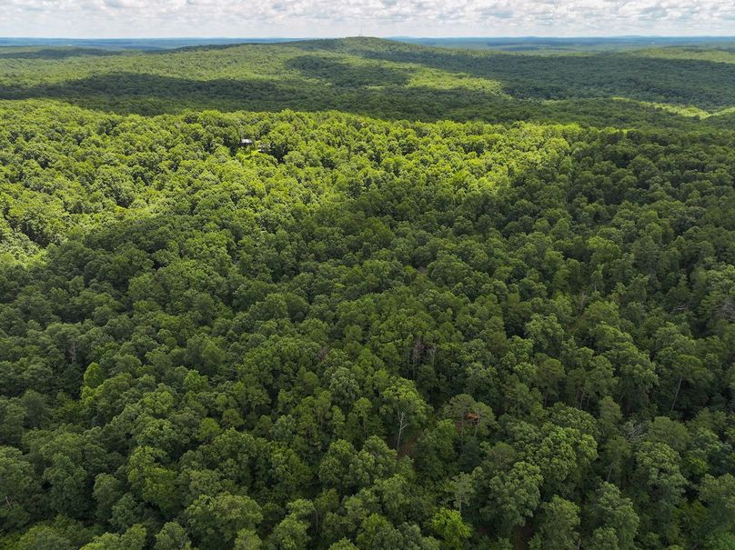 DJI_20250709130040_0423_D