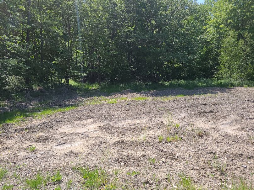 photo_c297c833-844e-44ff-80c7-a73ab6bb67ee