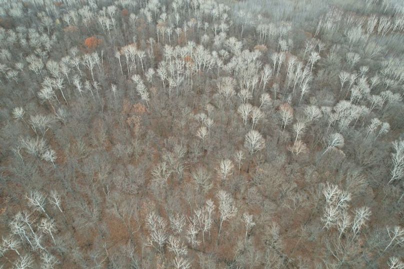 dji_fly_20251104_160734_3_1762294536694_photo