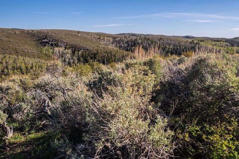 Copy of Copy of DSC_9207