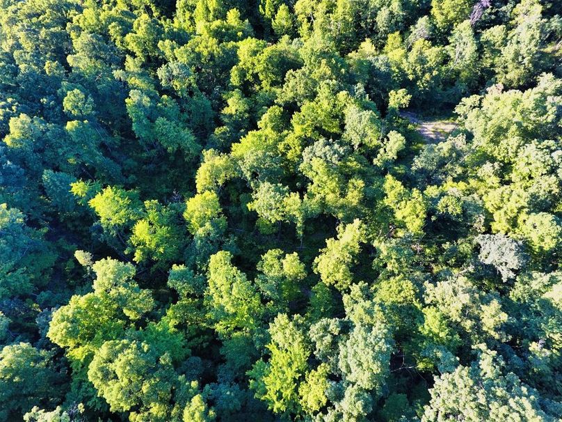 018 drone shot near the center of the property facing straight down showing the spacing for letting sunlight in-2