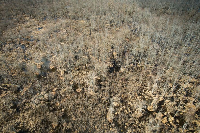 Oswego_165.52_Lashomb_Photos_31