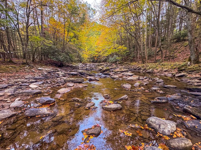 Webster, WV 13.8 AC Heldreth-03