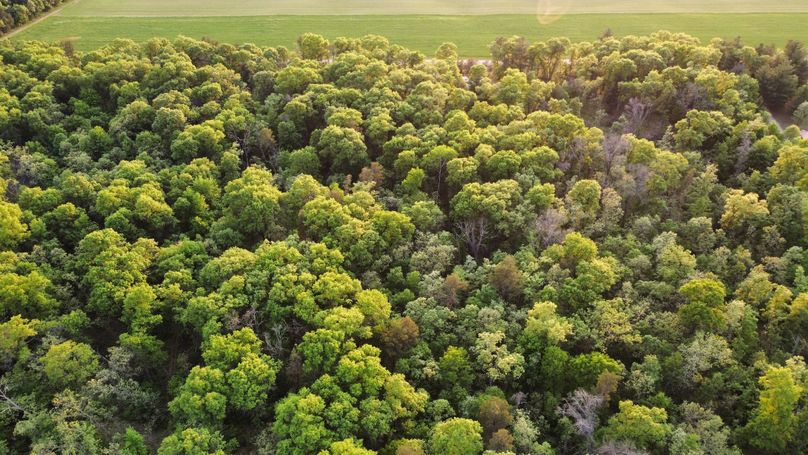 dji_fly_20230523_193850_506_1684889189811_photo_optimized