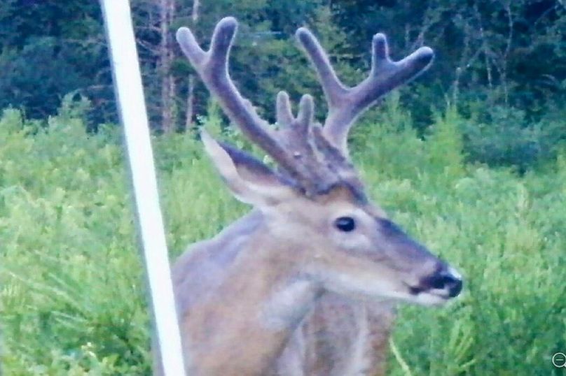 Screenshot_2018-09-02-22-25-20