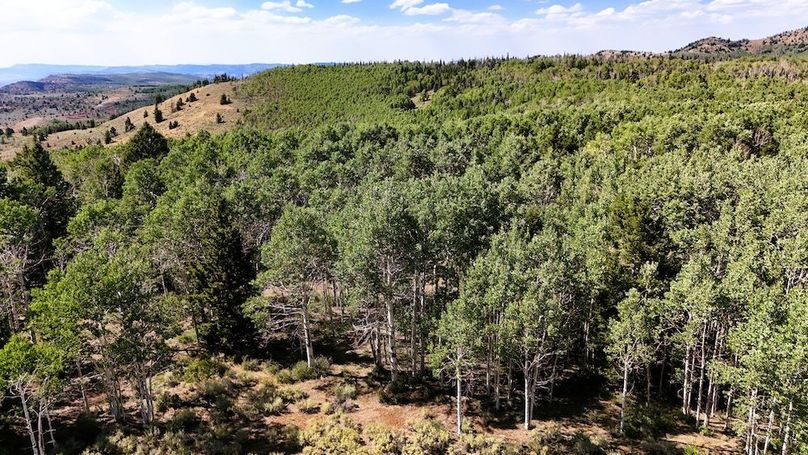 DJI_20250726162816_0045_D