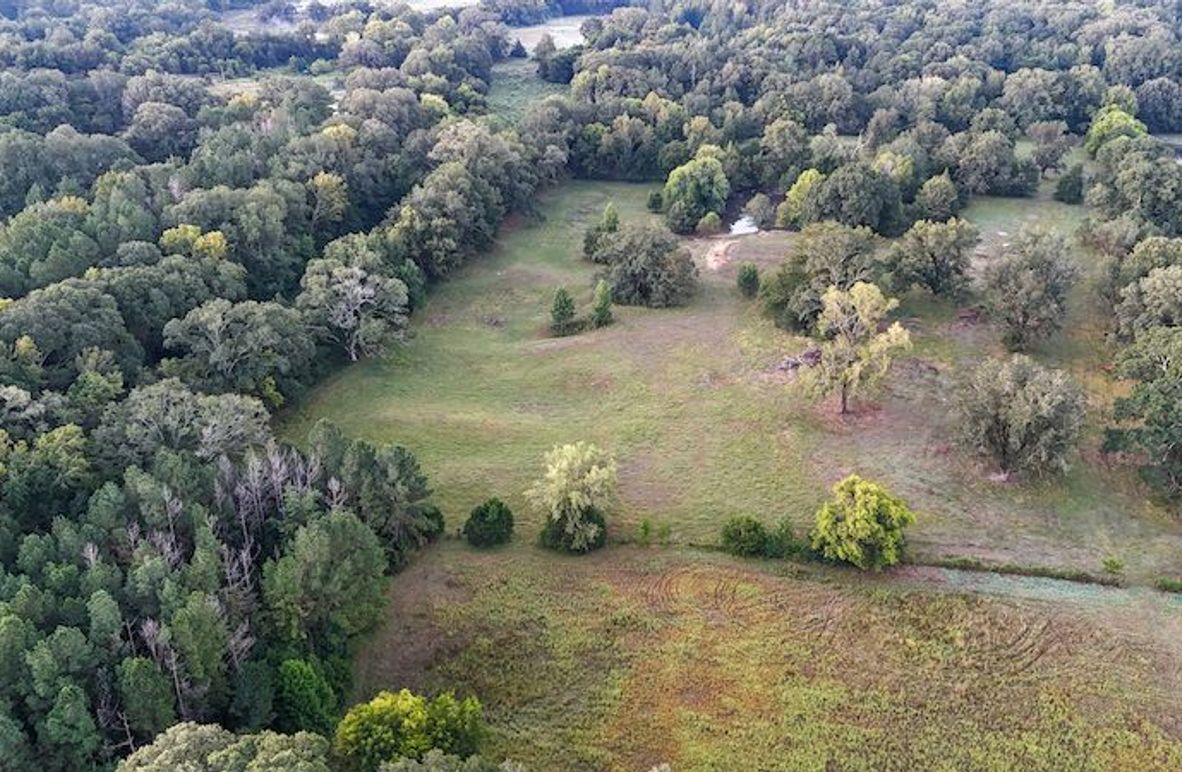 Hinds Co - 30 - Newman-02