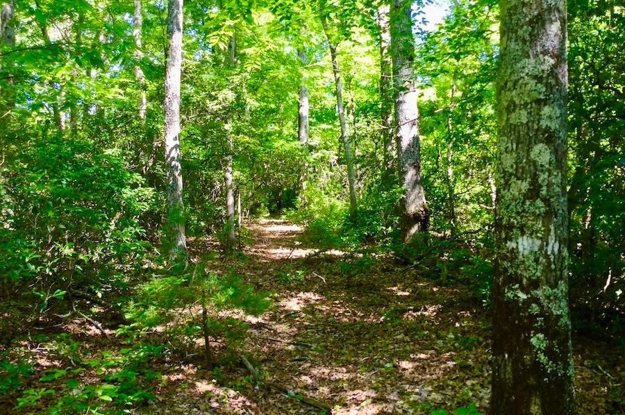 _Pic3