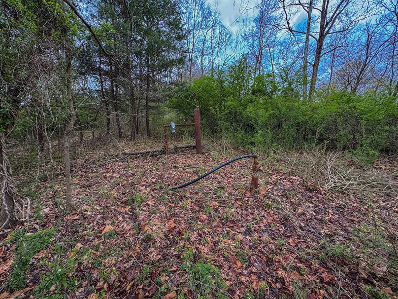 Wirt, WV 39.564 AC Full-20
