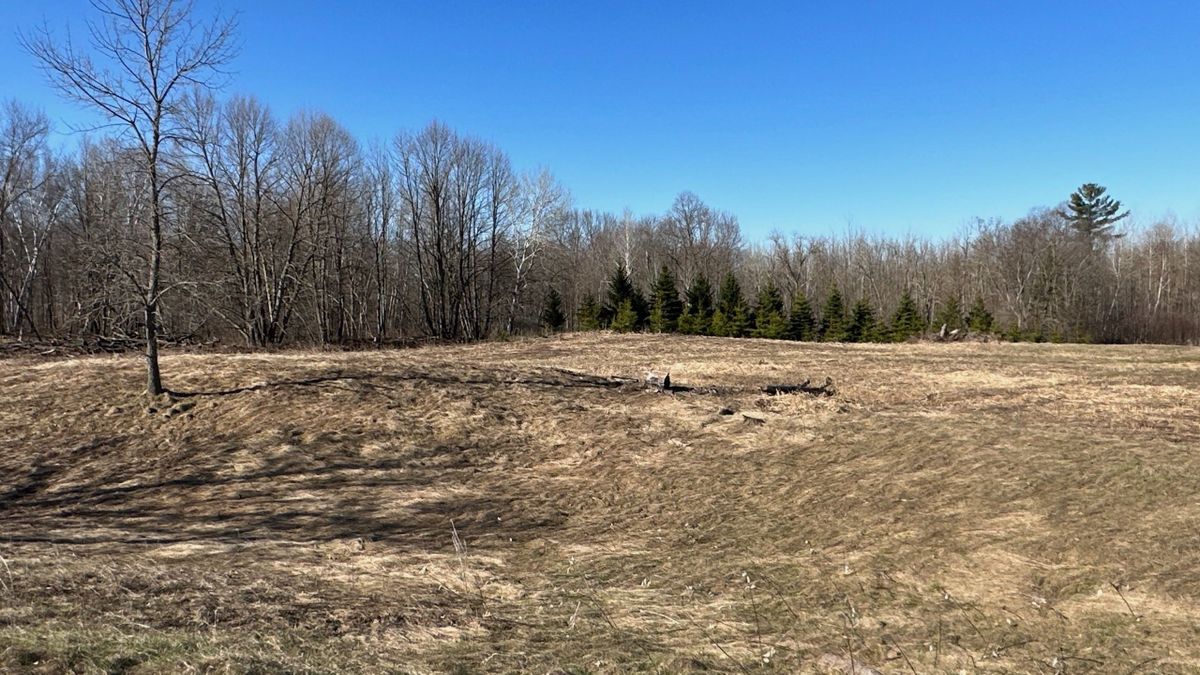 Rolling Timber With Great Hunting Near Mille Lacs Lake Whitetail