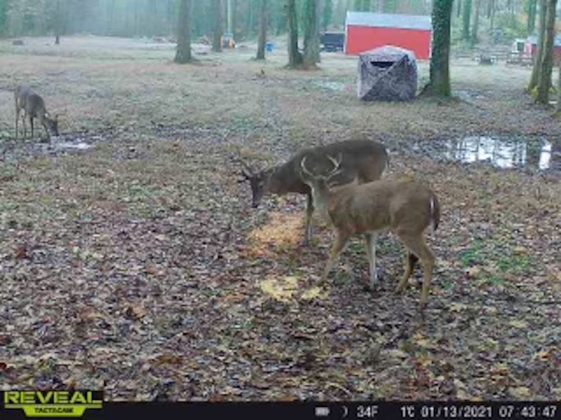 ab71bc78-a415-4e9d-b53a-1a5c5a7ebe26 copy