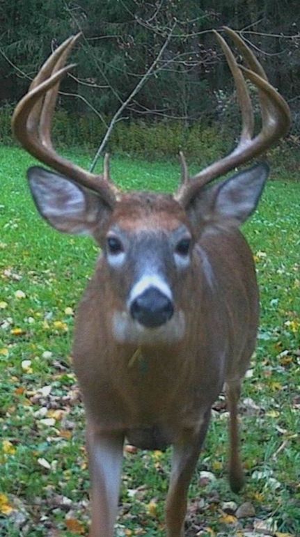 Screenshot_20211122-160324_Gallery 2