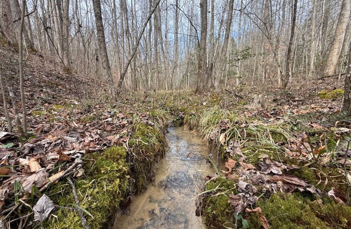 002 the small stream originating on the property