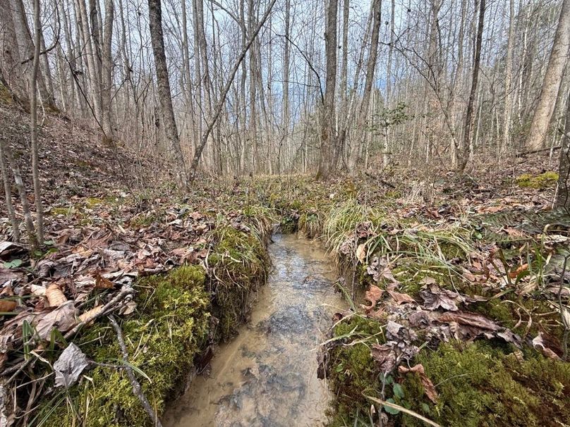 002 the small stream originating on the property