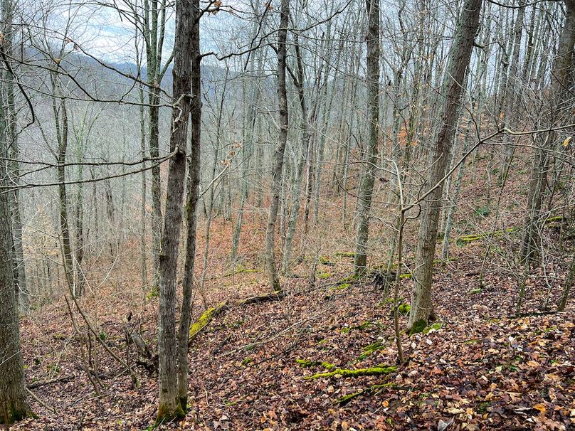 Calhoun, WV 225.69 AC Duffield-45