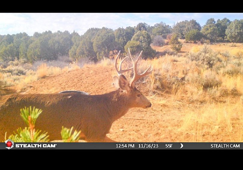 Copy of Screenshot_20231122-092711