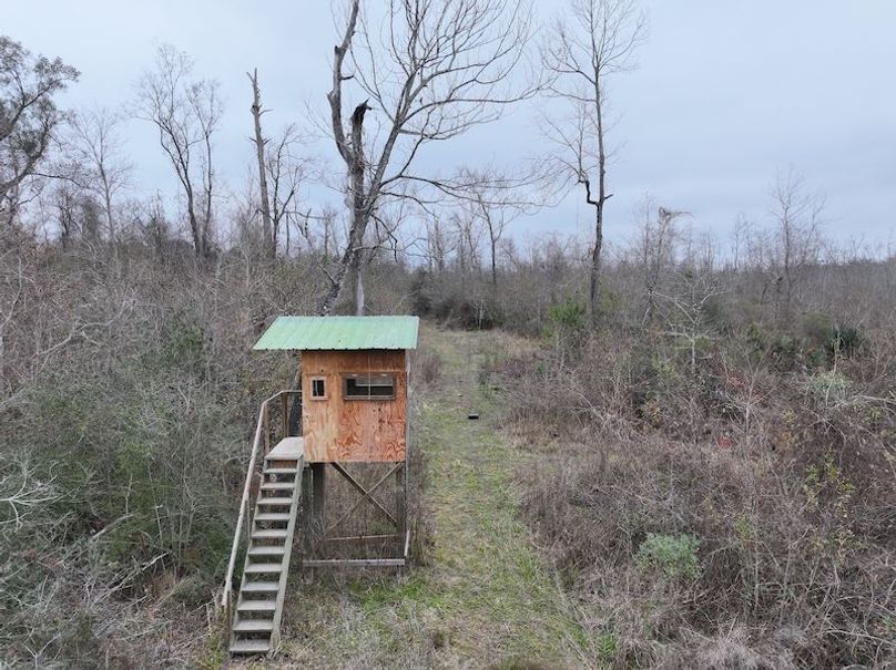 dji_fly_20260123_121156_0929_1769444779035_photo