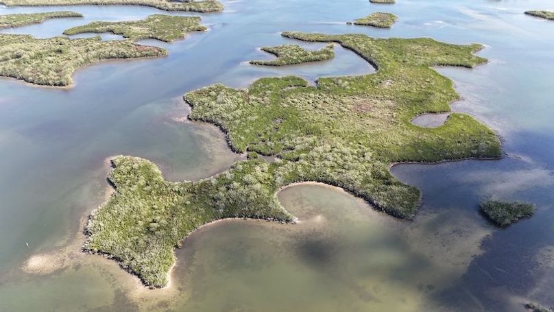 17.17ac, Citrus, Josiah Ronco09