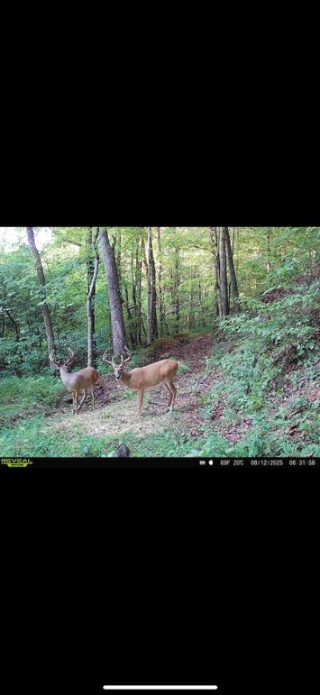 10040AC4-539F-4FAA-B1C5-743D52A4651C_1_102_o