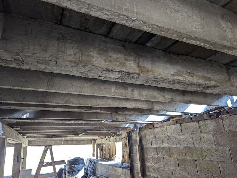 PXL_20240223_154513030