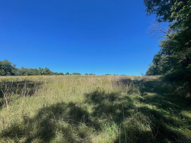 Grant 110 - 37 of 47