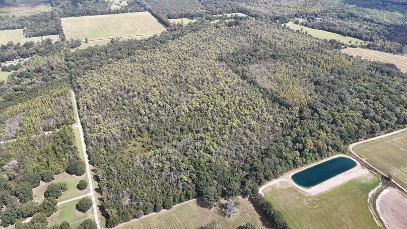 DJI_20250923004942_0740_D