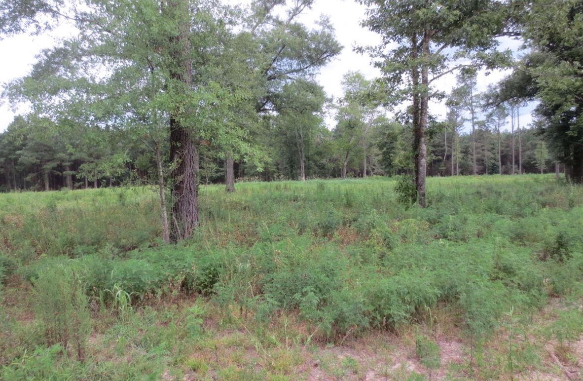 1D9CE5F1-BC35-47DC-8CA4-319A2884F6FE_1_105_c