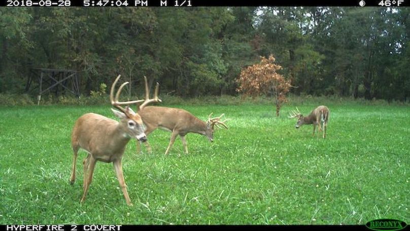 2018-09-28 17-47-04 M 1_1