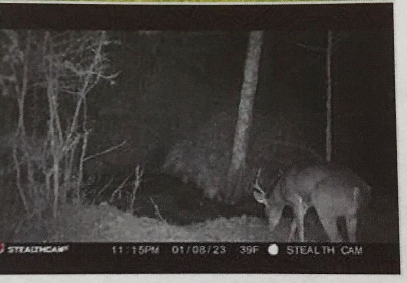 8B9FC7E3-B8A4-41CB-A478-D9C146EB34AD