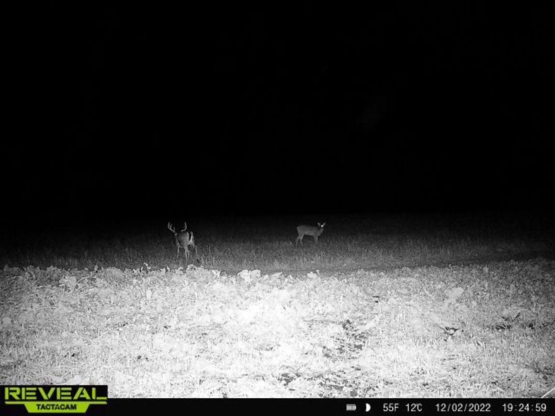 865814048775314-90-4-12022022192500-W1000171