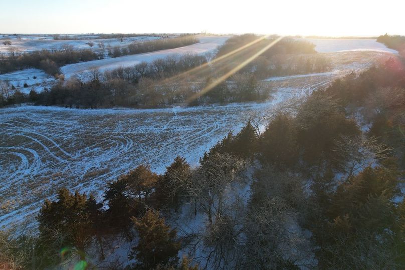 DJI_0504