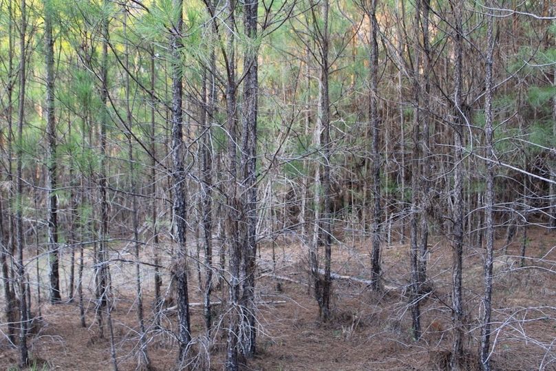 37A231C9-7C2B-4518-8171-B8572434E4EA_1_105_c