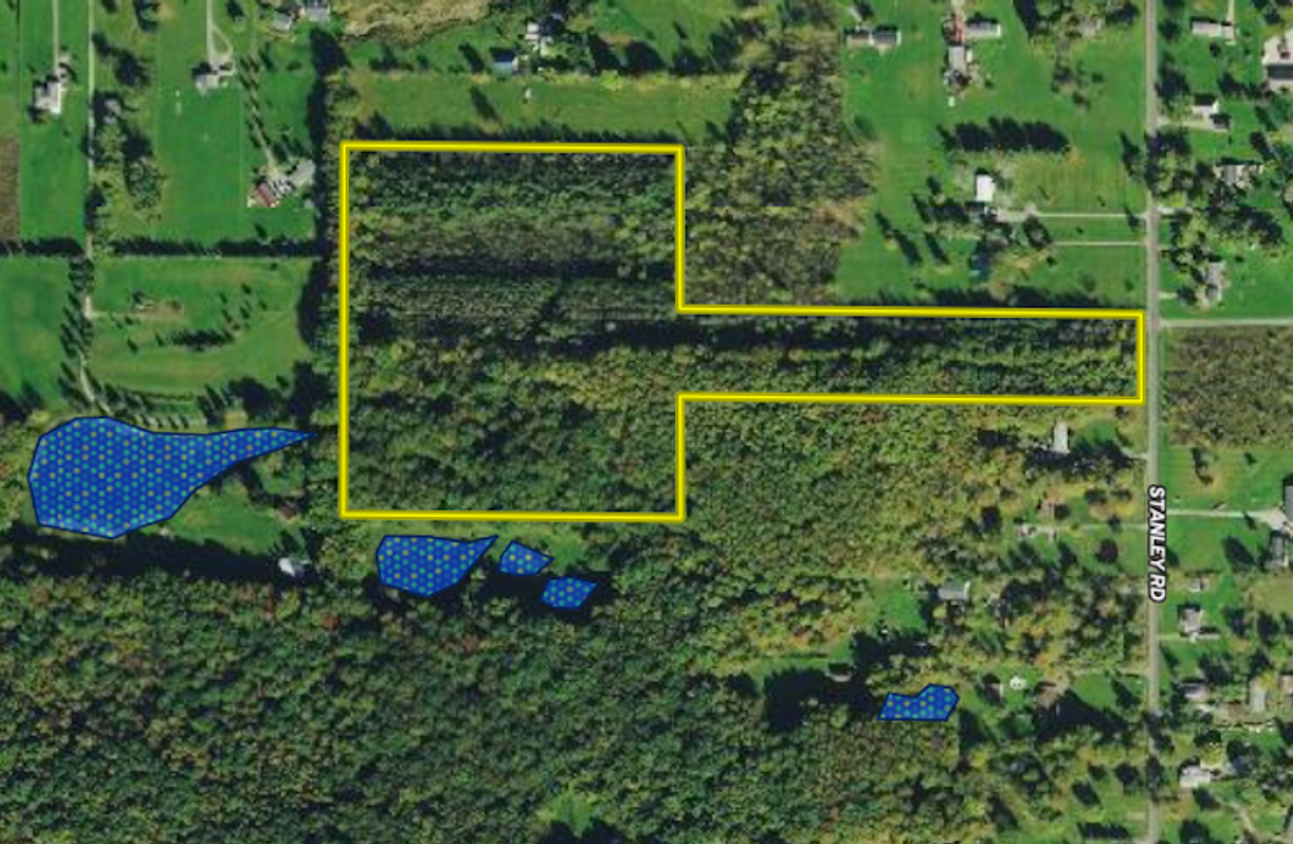 Screenshot 2024-11-19 at 7.46.30 PM