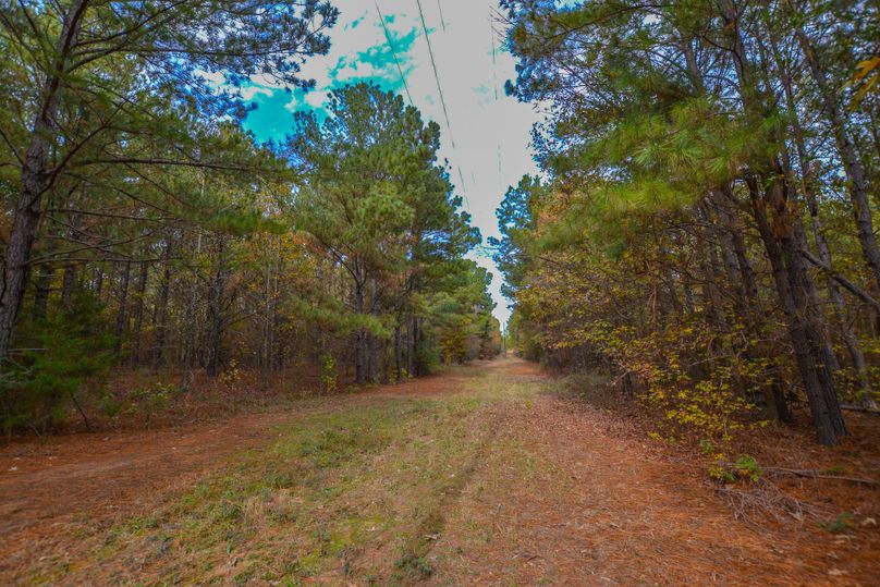 Hunting And Recreation Hideaway In East Texas Whitetail Properties