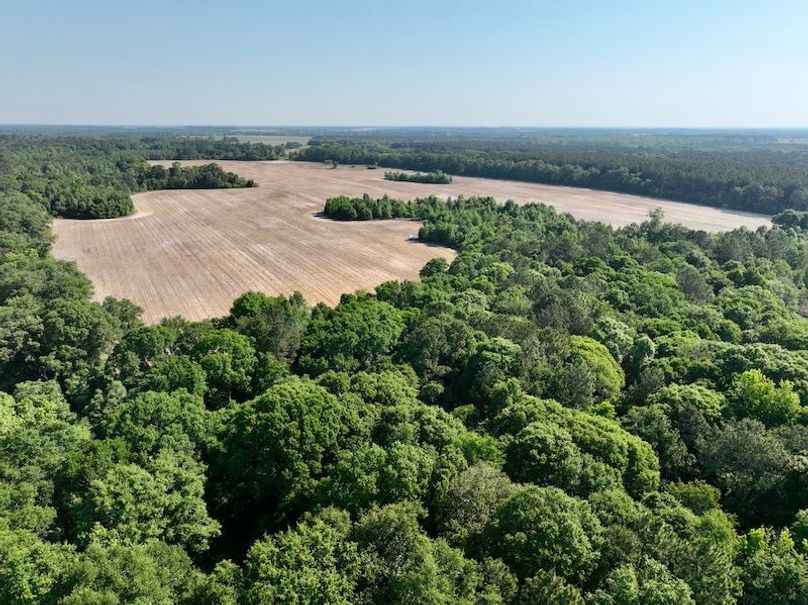 dji_fly_20260424_100112_570_1777039412503_photo
