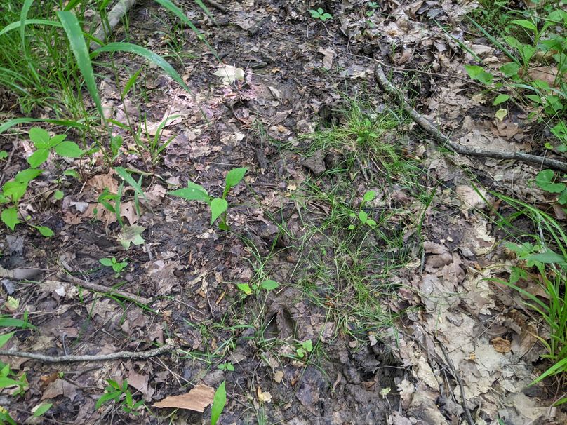 PXL_20230602_131203493