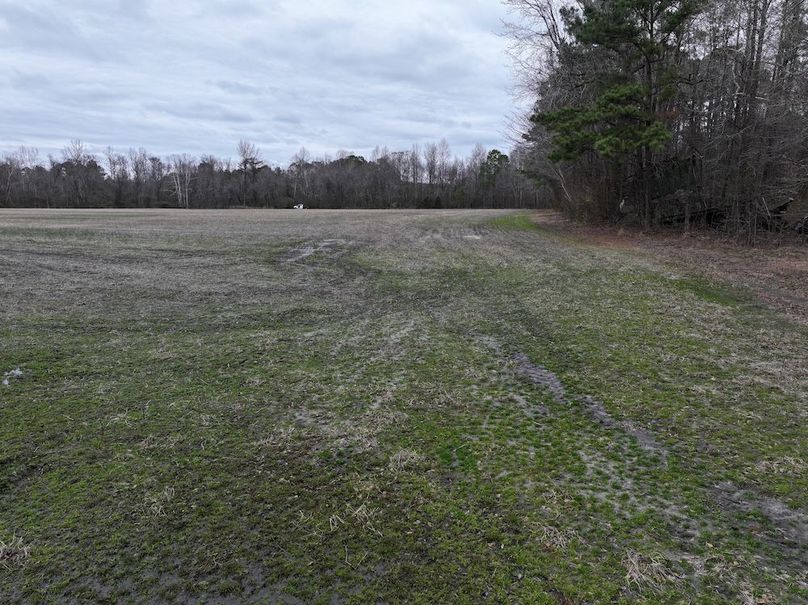 dji_fly_20260218_144816_0549_1772499961764_photo