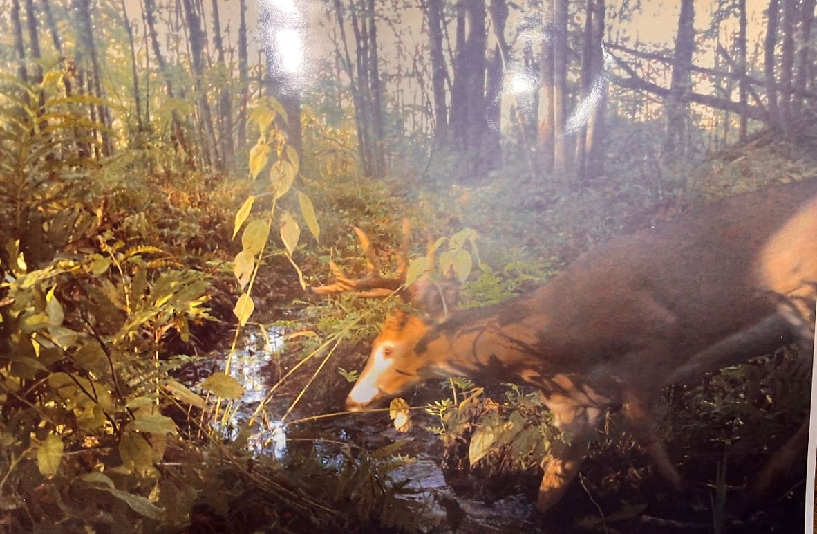 Oswego_165.52_Lashomb_Photos_3