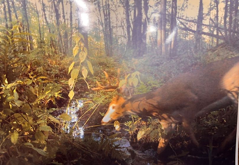 Oswego_165.52_Lashomb_Photos_3