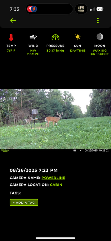 trailcam17
