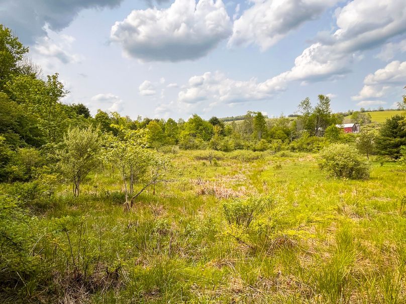 Tompkins_126.23-Gregrow_Photos_20