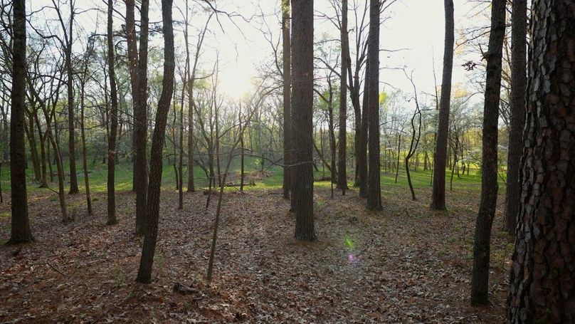 WILLIAMSON, IL 65.00_02_11_07.Still017